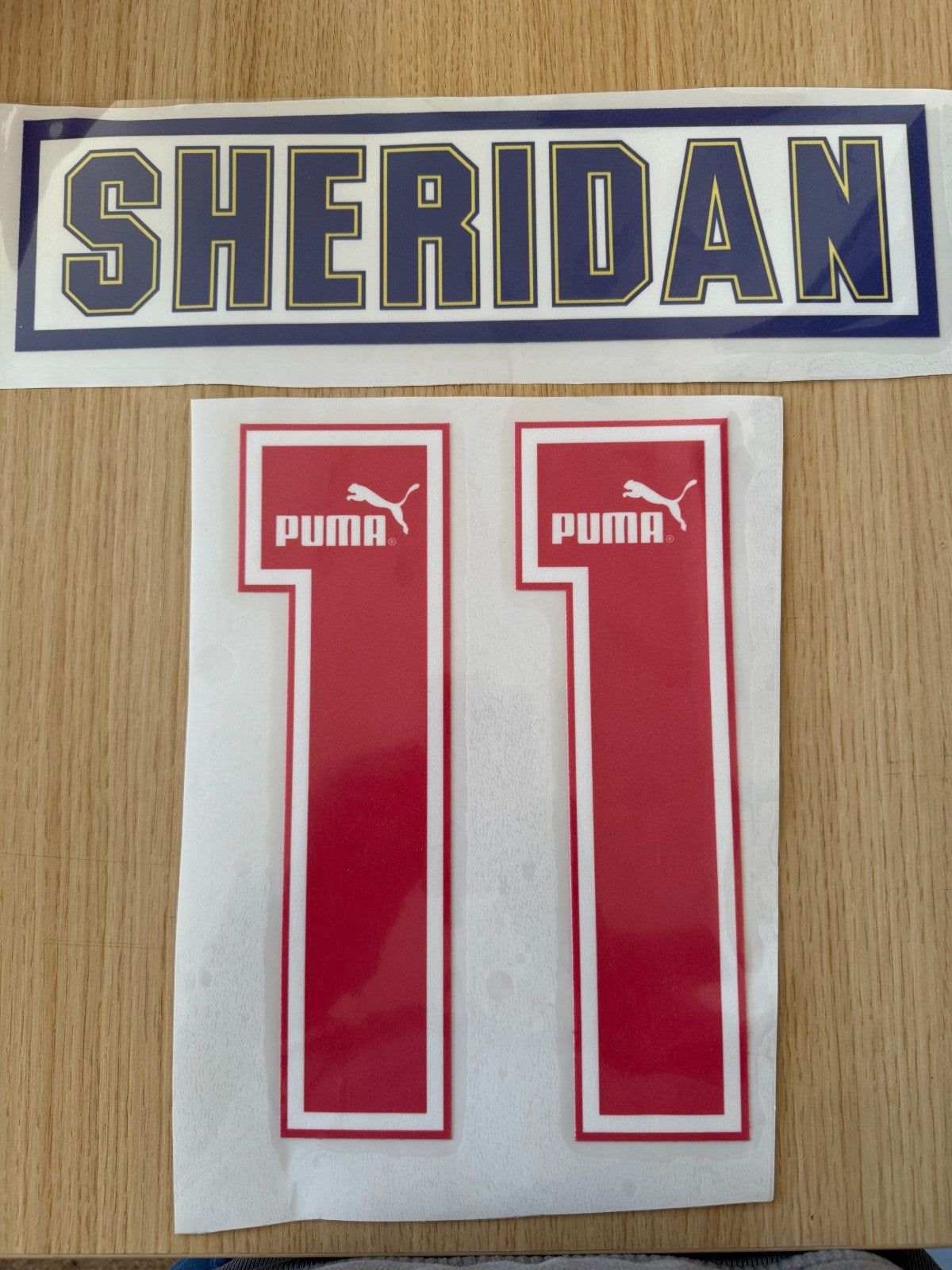 Sheridan 1994-1995 Sheffield Wednesday home Felt Player Premier League Nameset