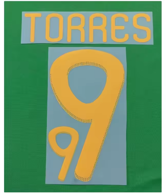 Torres #9 World Cup 2010 Spain Home Player Size Nameset Football