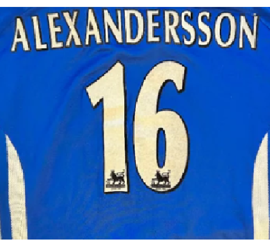 ALEXANDERSSON 16 Sheffield Wednesday 1997-00 Player Size Premier League Nameset