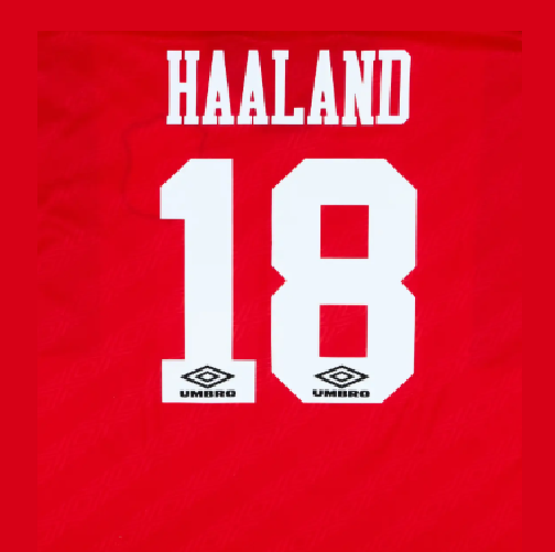 Haaland #18 1994-1996 Nottingham Forest Felt Player Size Premier League Nameset