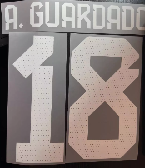 A.Guardado 18 Mexico Home World Cup 2022 NAMESET PLAYER SIZE