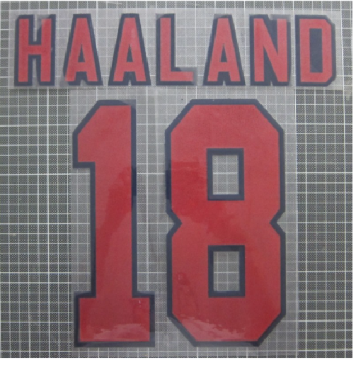 Haaland #18 1996-1997 Nottingham Forest Felt Player Size Premier League Nameset