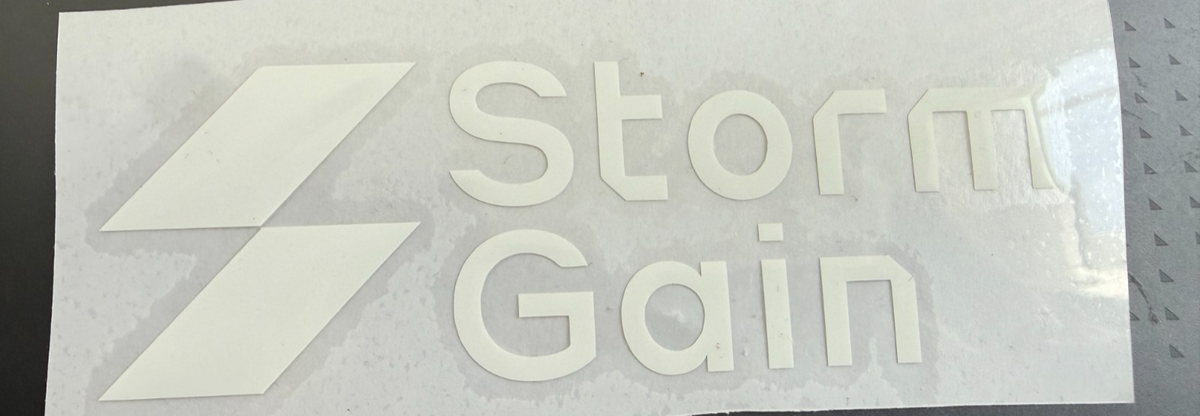 Newcastle Storm Gain patch player size Iron On Heat Press 2019-2020 UK STOCK
