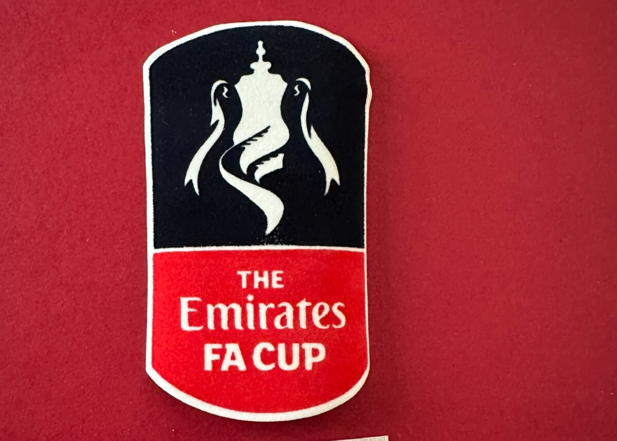 FA Cup Emirates Football Shirt Sleeve Arm Patch Badge 2016-2020 UK STOCK FELT