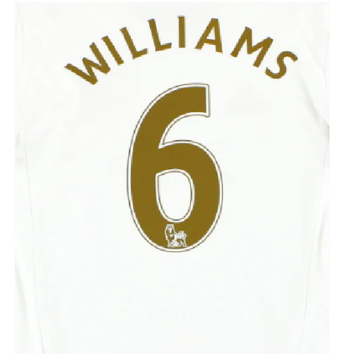 Williams #6 2007-2013 EPL Player Size Premier League gold Nameset UK Swansea