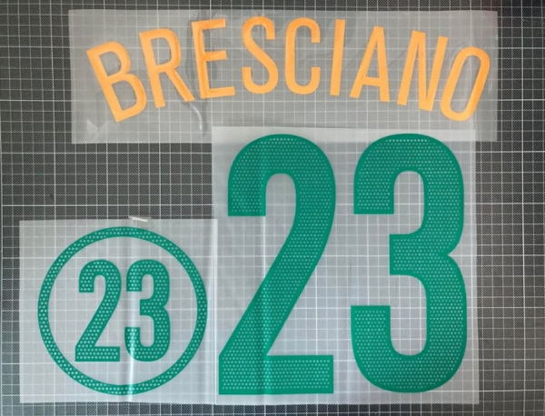 Bresciano #23 Australia 2004 Home Player Size Nameset Football