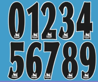 Any Single Number Premier League 1997-2007 Player Size Flock Felt nameset EPL printing black