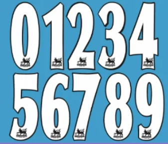 premier league 1997 1998 1999 2000 2001 2002 2003 2004 2005 2006 2007 flock lextra player size number printing for football shirt