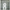 CARBONE #8 Sheffield Wednesday 1997-00 Player Size Premier League White Nameset