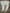 2021-2023 Gyokeres 17 Coventry City  patch player size Championship Nameset
