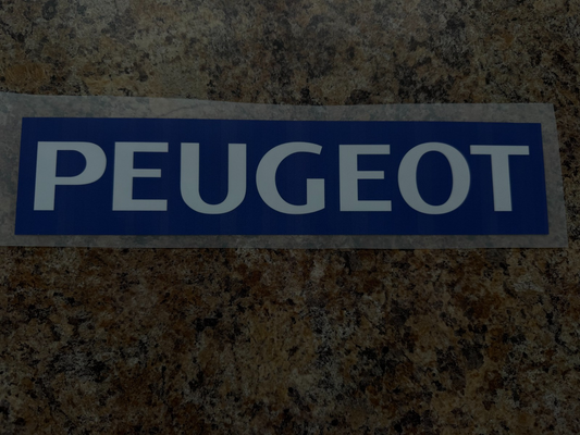 Peugeot Sponsor Patch Badge patch player size Ligue 1 Switzerland Zurich