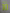 Messi #10 2008-2010 Barcelona  Player Size Yellow Nameset UK stock