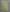 Ronaldinho #10 2006-2008 Barcelona  Player Size Yellow Nameset UK stock