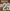 PSG Paris St Germain player Size 17-18 Kylian Mbappe 29 Nameset Soccer Football