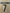 Shevchenko #7 2006-2007 Ac Milan  Player Size Gold Nameset UK stock