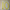 Cunha #10 2025-26 Player Size  Cup Yellow Away Nameset Manchester United