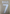 Raul  #7 Real Madrid 1999-2000 Away Player Size  Nameset UK Football