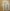 NEWCASTLE GORDON 10  2024-2026 AWAY Carabao Cup PLAYER SIZE Nameset  Winners