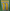 Nedved #11 2007-2009 Home Juventus Player Size Plastic Serie A League Nameset