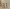 Klinsmann  #33 1997-1999 Tottenham Spurs Player Size Premier League GOLD Nameset