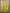 Henry  #14 2008-2010 Barcelona  Player Size Yellow Nameset UK stock