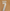 Arsenal Saka 7  2024-2025 AWAY PLAYER SIZE CL NAMESET