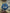 2022-2023 Eredivisie League patch player size  Iron On Heat Press UK STOCK