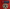 Champions League Starball & RESPECT Sleeve Badges Patches 2012-2021 badge iron