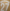 NEWCASTLE WOLTEMADE 27  2024-2026 AWAY Carabao Cup PLAYER SIZE Nameset  Winners