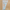 Ronaldo #7 Portugal  2025-2026 Home Player Size  Nameset Football
