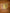 2025 FIFA Intercontinental Champions Felt Patch Badge Player Sized
