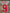 Weah  #9 1999-2000 Ac Milan Away  Player Size Nameset UK stock