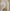 Cavani #21 2021-23 Player Size  Cup White Home Nameset Manchester United