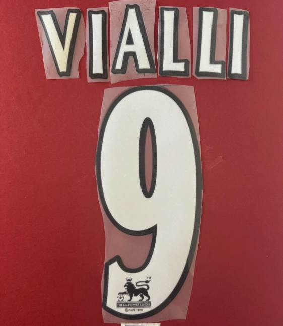 Viall #9 1997-2007 Chelsea Felt Player Size Premier League Nameset bk