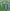 RONALDINHO 10 WORLD CUP 2006 BRAZIL HOME PLAYER SIZE GREEN NAMESET