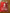 4 x Winners  Fly Emirates Fa Cup patch player badge 2020-2021
