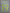 Messi #19 2006-2008 Barcelona  Player Size Yellow Nameset UK stock