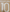 Rashford #10 2021-23 Player Size  Cup White Home Nameset Manchester United