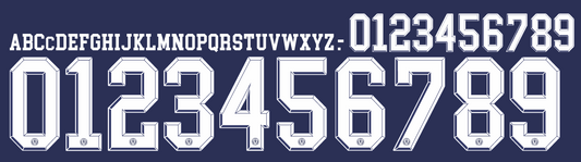 scotland world cup 2026 name and number for home football shirt