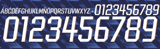 france world cup 2026 name and number for home football shirt